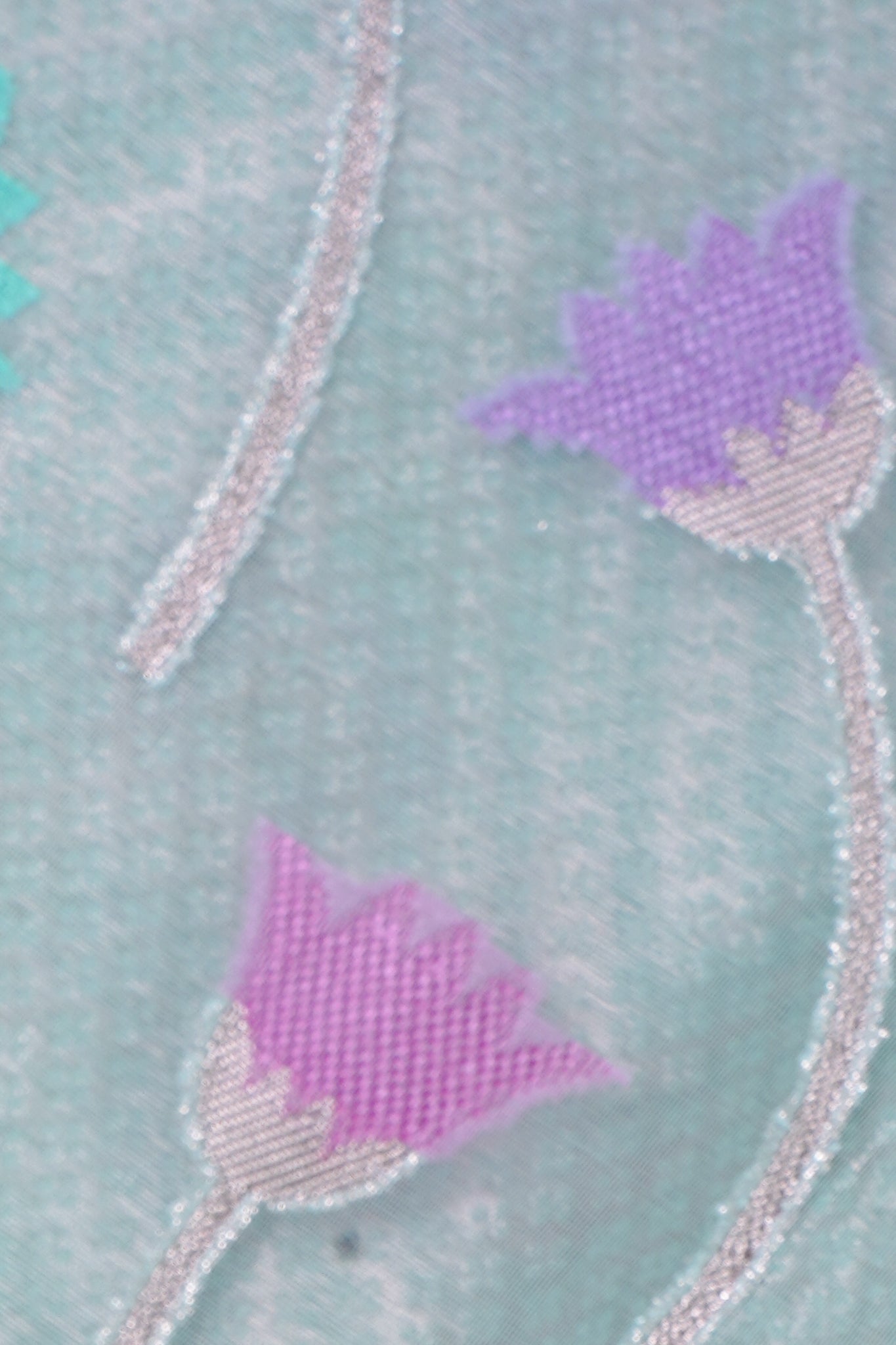 Aqua Green Organza Banarasi Tilfi Minakari Jaal Saree