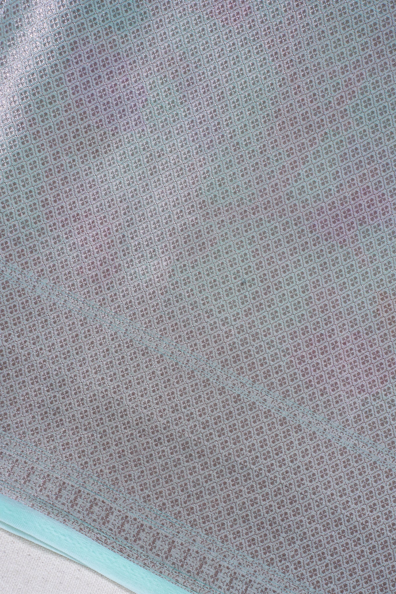 Sea Green Organza Banarasi Tilfi Minakari Jaal Saree