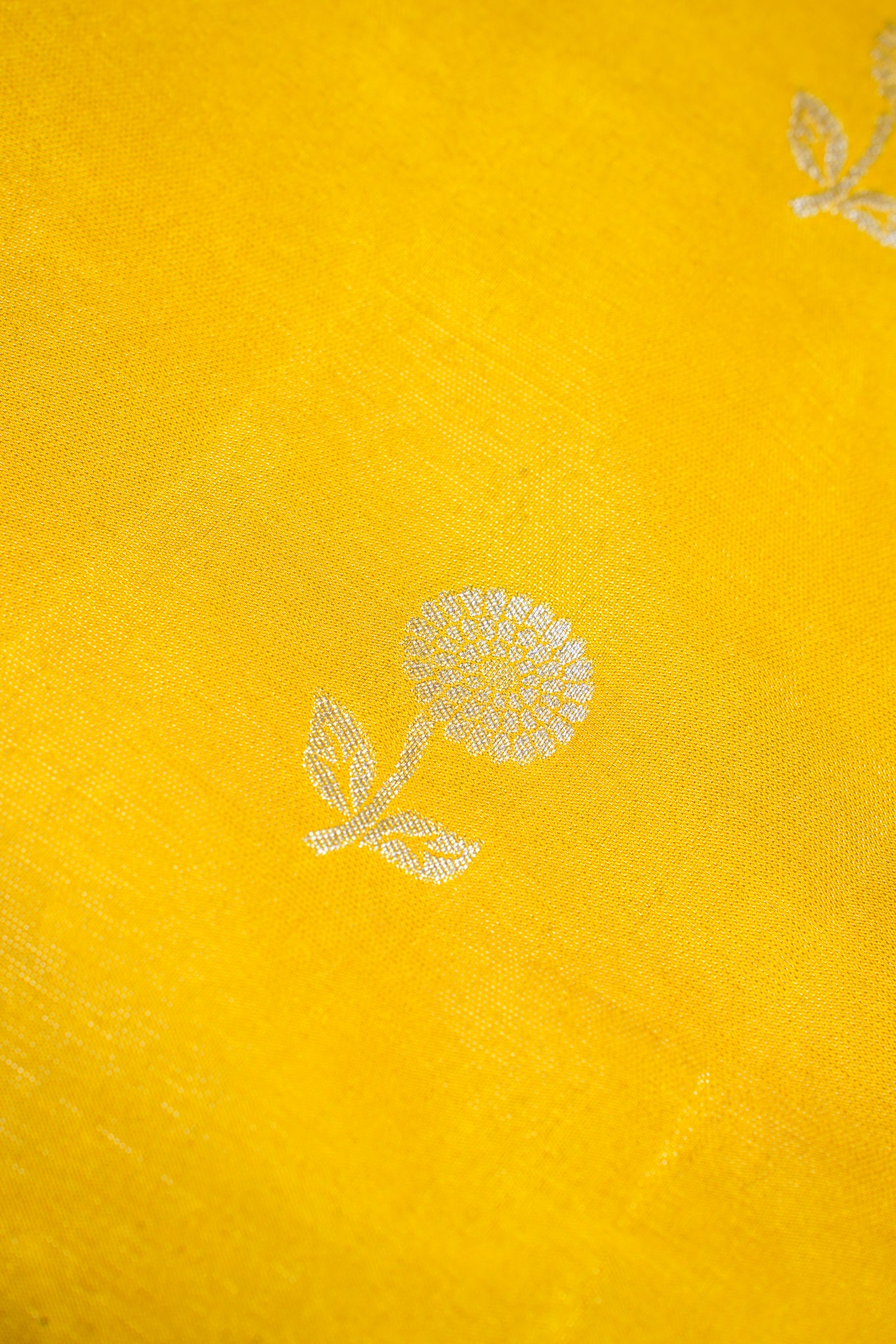 Mustard Yellow Tissue Silk Saree