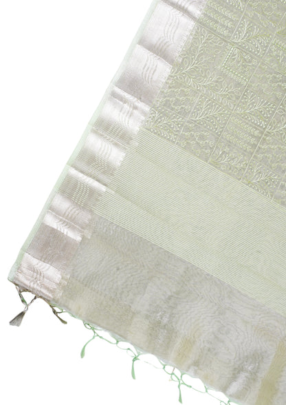 Pastel Green Tissue Silk Saree with Chikankari Embroidery