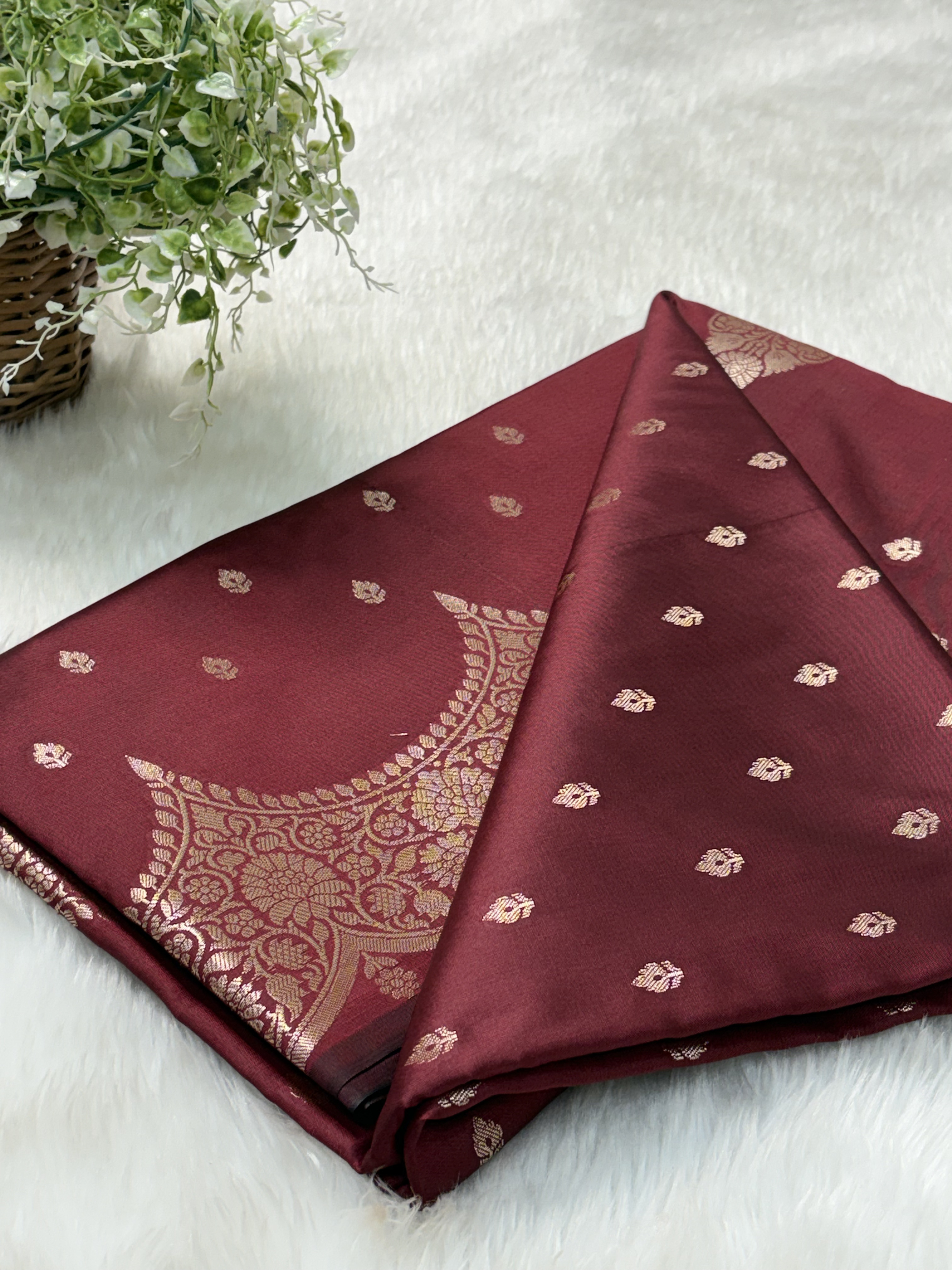 Choclate Brown Scallops Border Banarasi Katan Buti Saree