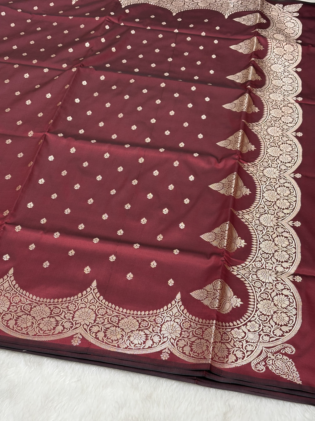 Choclate Brown Scallops Border Banarasi Katan Buti Saree