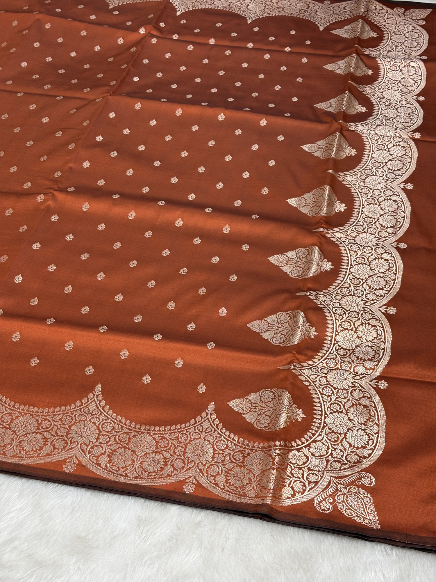 Burnt Tangerine Orange Scallops Border Banarasi Katan Buti Saree