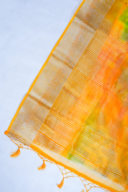 Multicolor Sunflower Yellow Organza Badal Print Saree