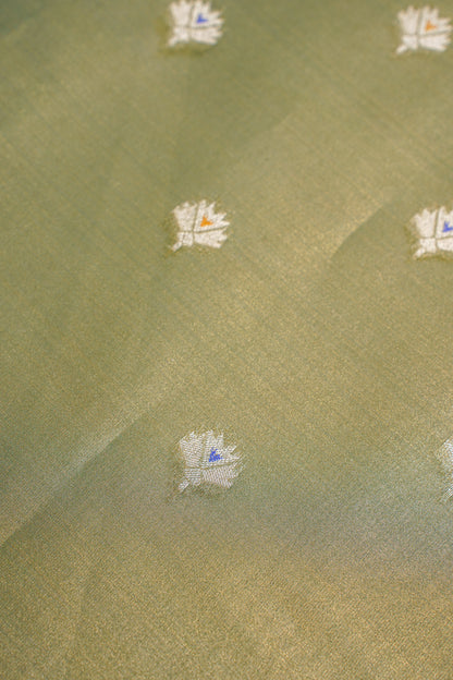 Olive Green Paithani Minakari Tissue Silk Saree