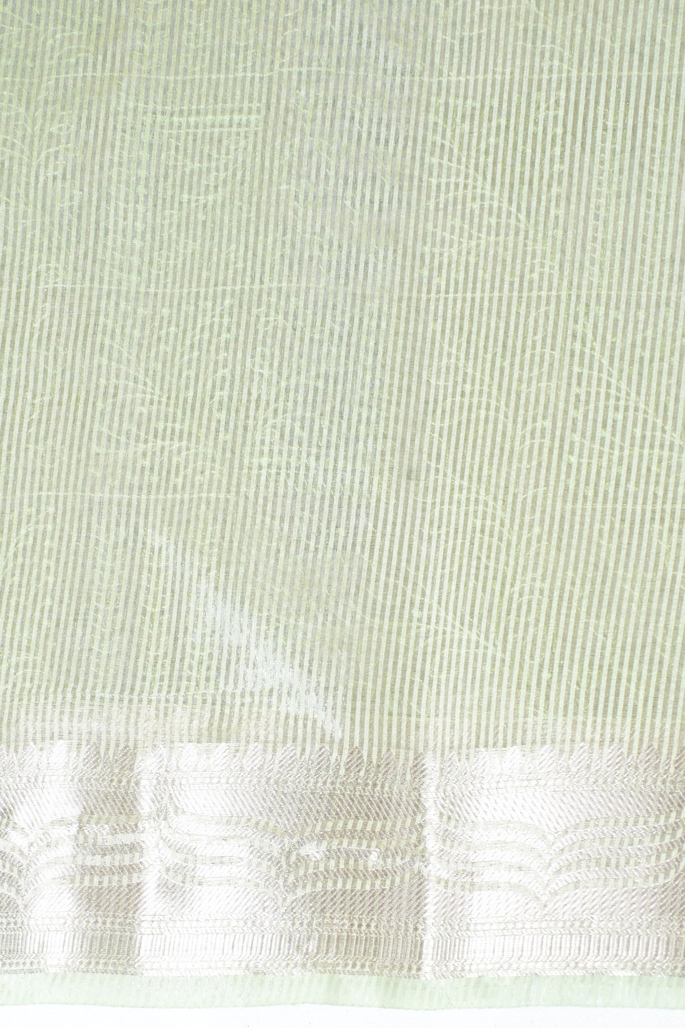 Pastel Green Tissue Silk Saree with Chikankari Embroidery