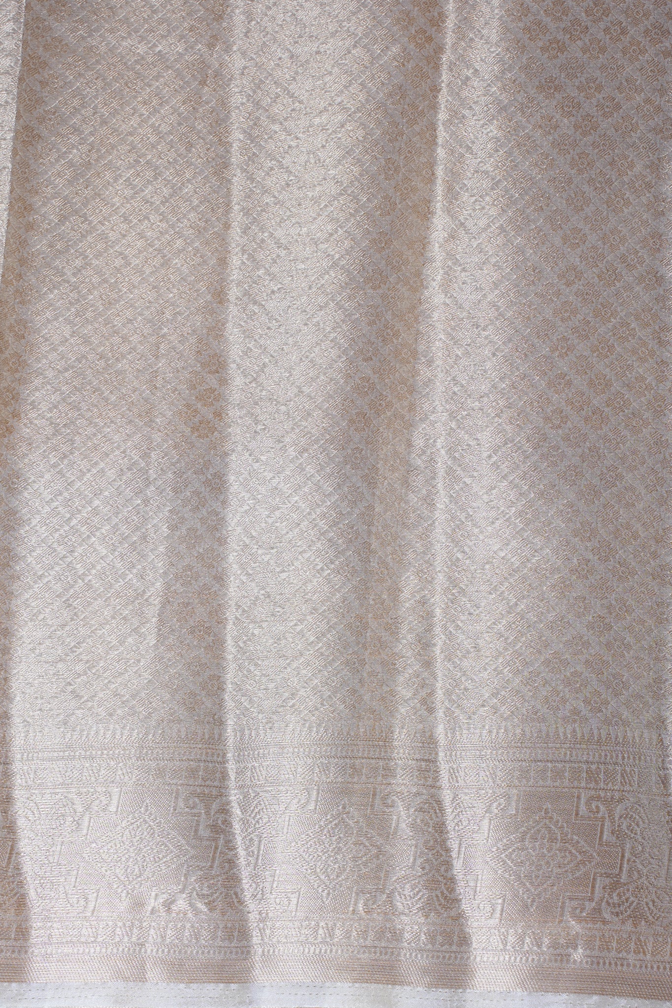 Ivory Organza Banarasi Jaal Weaving Saree